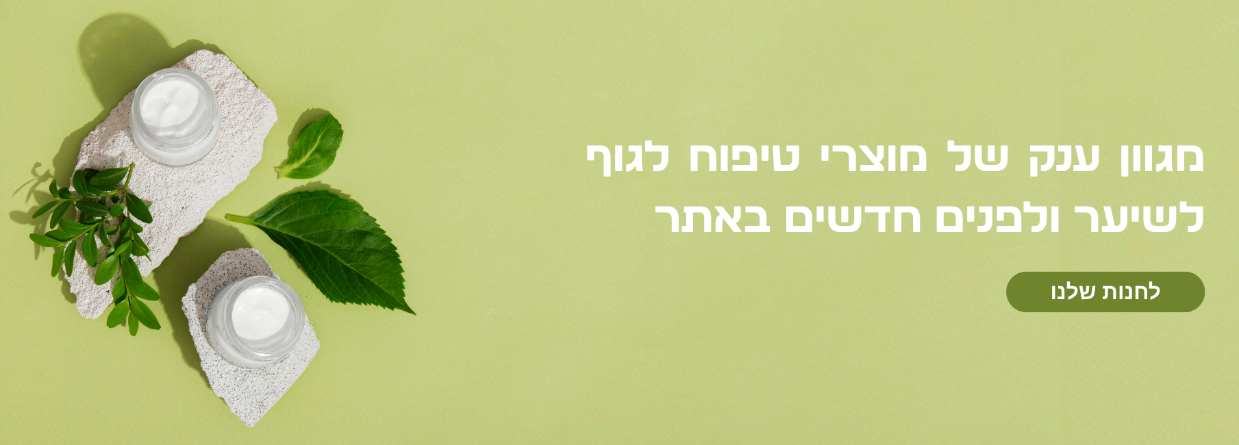 f (1809 x 650 פיקסל) (2)